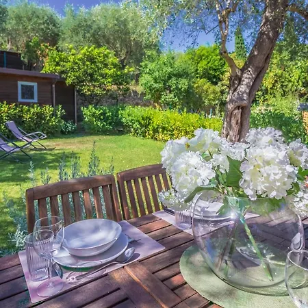Apartment La Bougainville Relax, Giardino E Parcheggio
